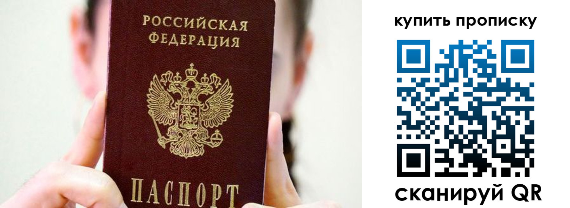 прописка 2025 в Мончегорске