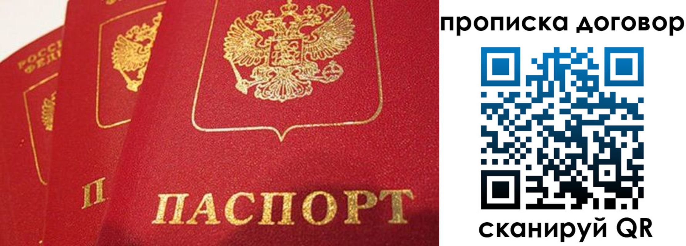 найти адрес прописки в Мончегорске