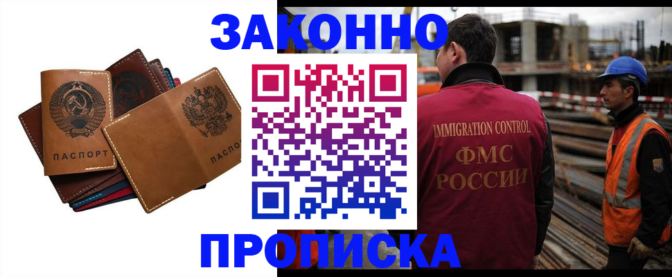 прописка в Мончегорске